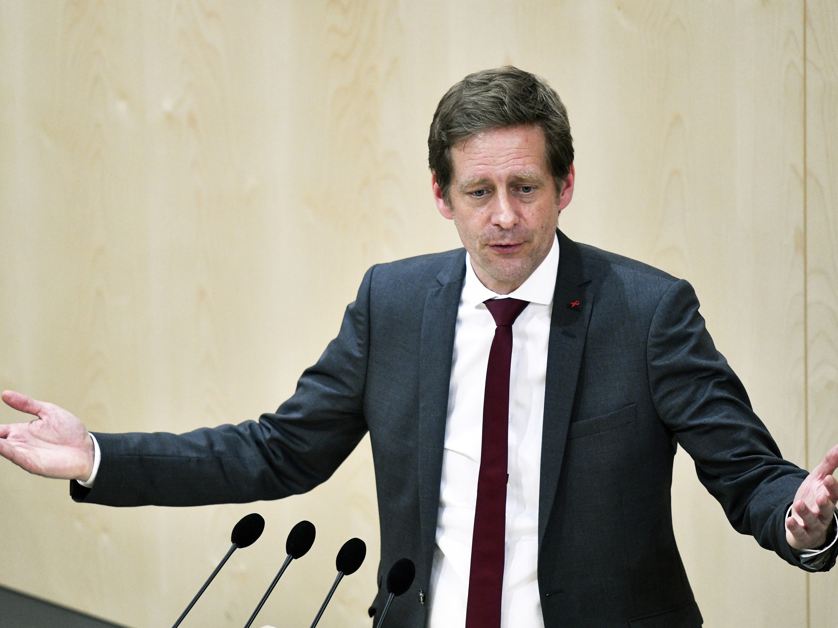 Krainer sieht "großen Erklärungsbedarf" Kickls. Krainer sieht "großen Erklärungsbedarf" Kickls.