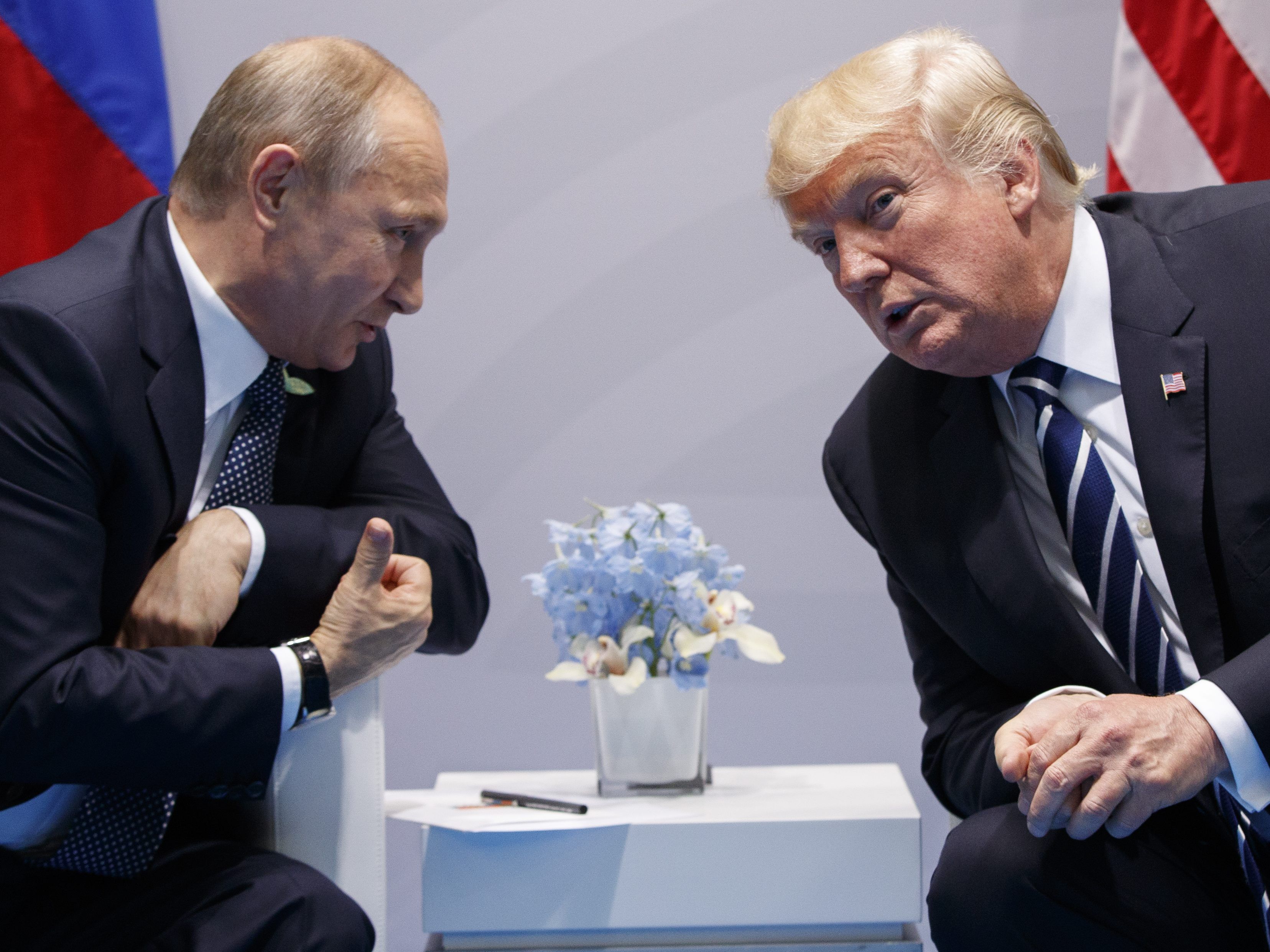 Putin und Trump könnten in Wien aufeinandertreffen. Putin und Trump könnten in Wien aufeinandertreffen.