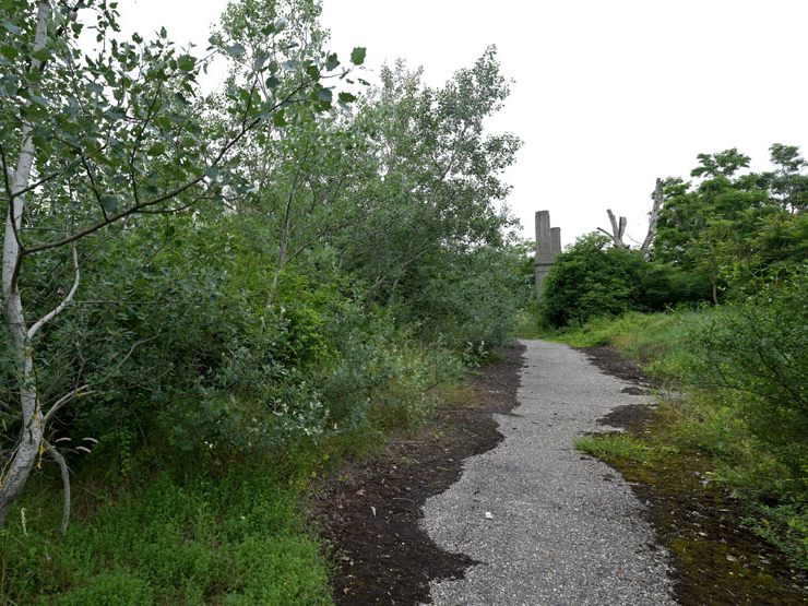 Wien will eine "zentrale Rolle" bei der Umsetzung von Renaturierung spielen. Wien will eine "zentrale Rolle" bei der Umsetzung von Renaturierung spielen.