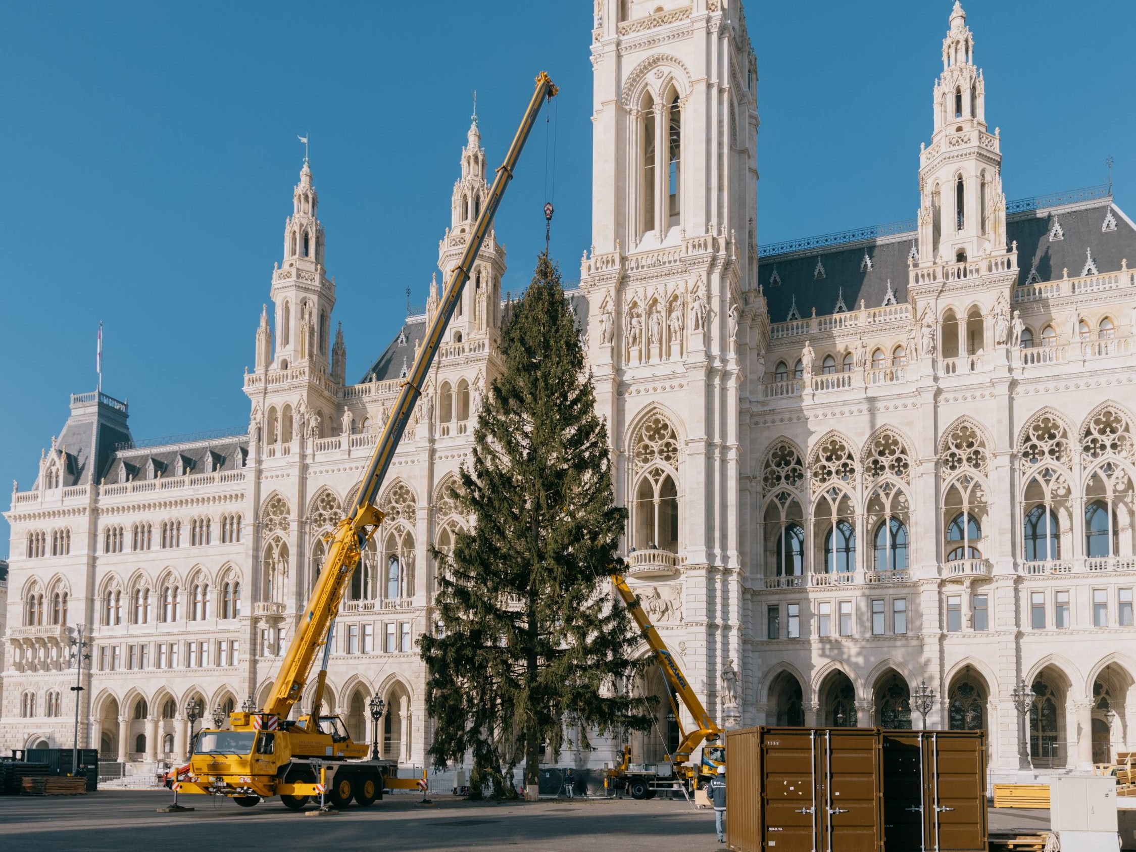 Der Weihnachtsbaum am Wiener Christkindlmarkt wurde aufgestellt. Der Weihnachtsbaum am Wiener Christkindlmarkt wurde aufgestellt.