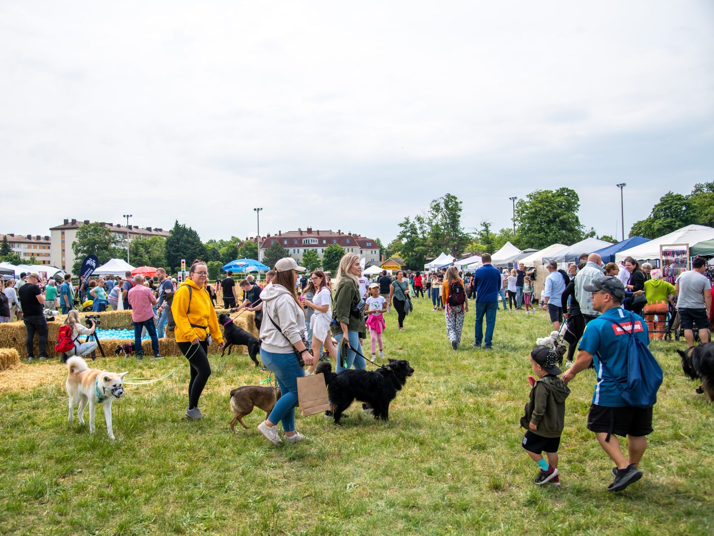 Österreichs größtes Hunde-Open-Air lockt mit Show, Action und Erlebnis für die ganze Familie. Österreichs größtes Hunde-Open-Air lockt mit Show, Action und Erlebnis für die ganze Familie.