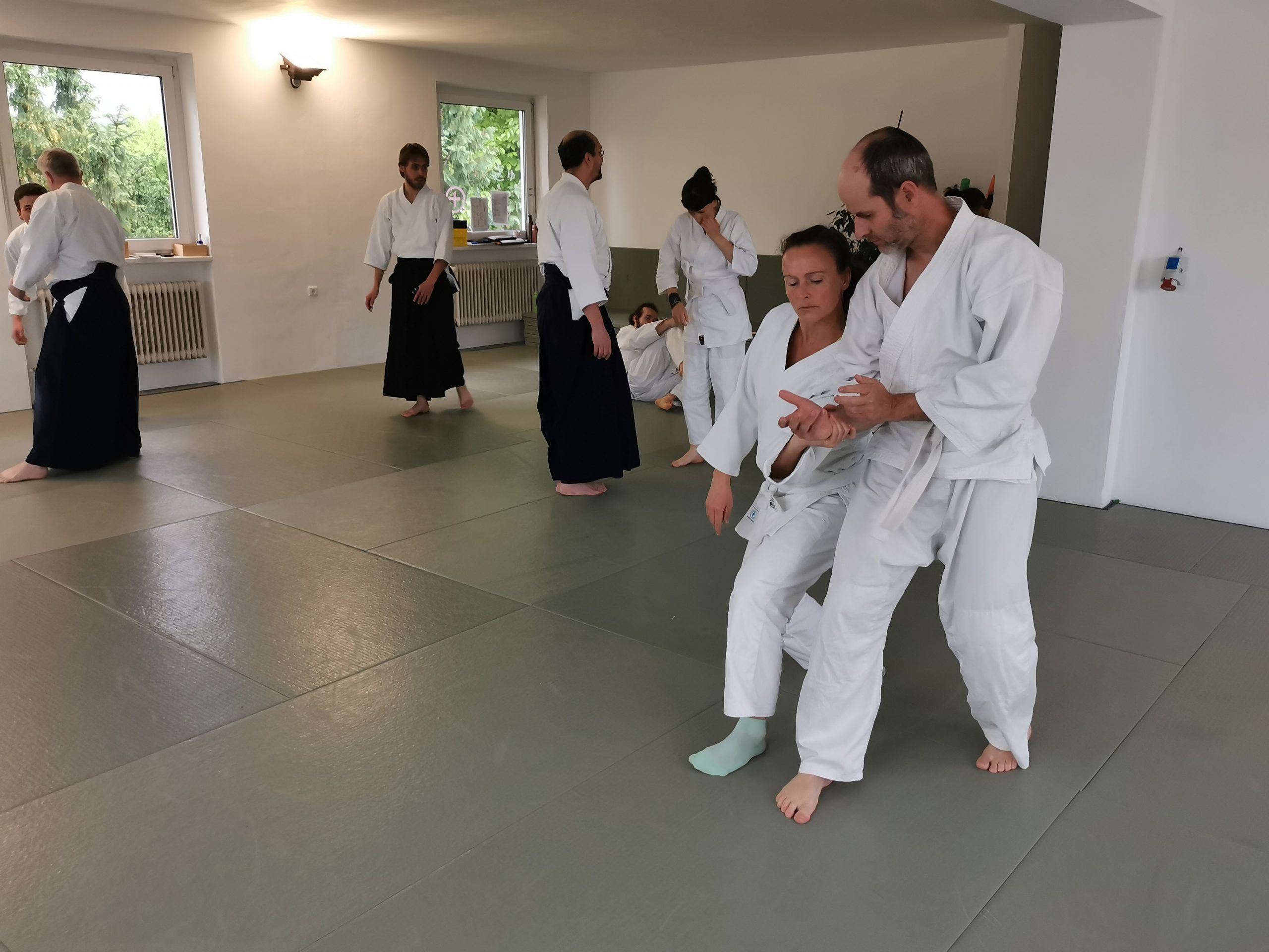 Aikido-Training Aikido-Training