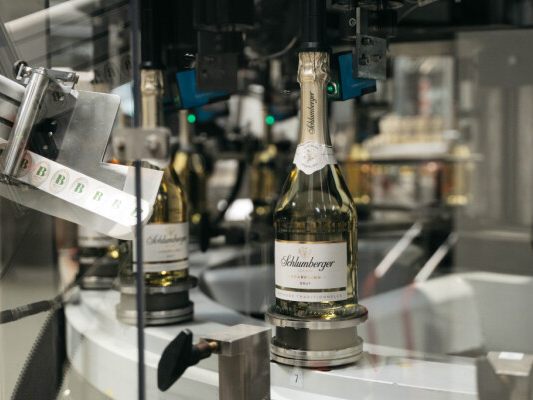 Drei Millionen Liter Sekt sollen am neuen Standort produziert werden Drei Millionen Liter Sekt sollen am neuen Standort produziert werden