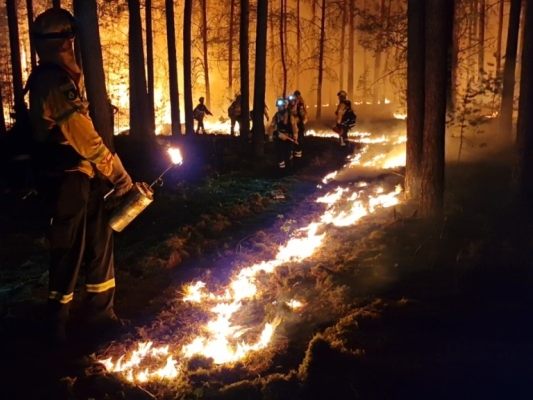 Waldbrandbekämpfung rückt tendenziell weiter in den Fokus Waldbrandbekämpfung rückt tendenziell weiter in den Fokus