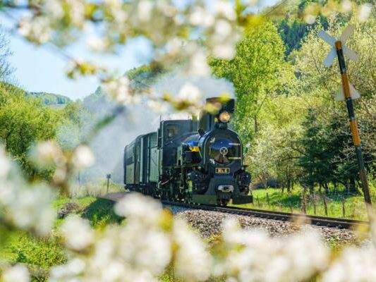 Die Mariazellerbahn hat Niederösterreich den 1. Sieg beschert Die Mariazellerbahn hat Niederösterreich den 1. Sieg beschert