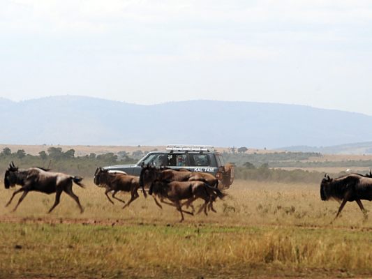 Ziel wäre Nationalpark Massai Mara gewesen Ziel wäre Nationalpark Massai Mara gewesen