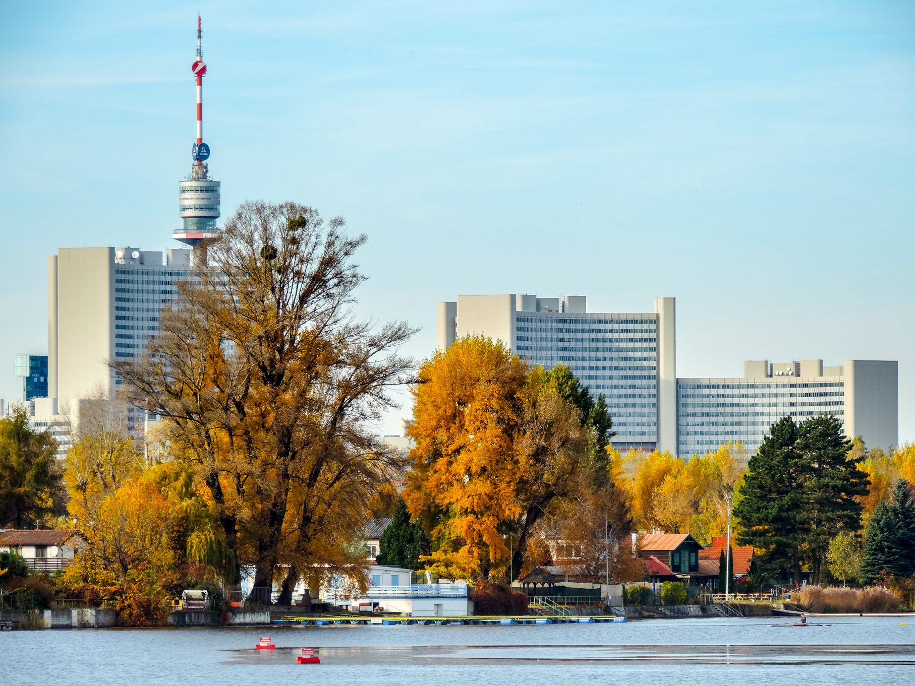 Herbstliche Donauinsel-Bilanz: Saisonende für die Copa-Cruise und die Mähschafe. Herbstliche Donauinsel-Bilanz: Saisonende für die Copa-Cruise und die Mähschafe.