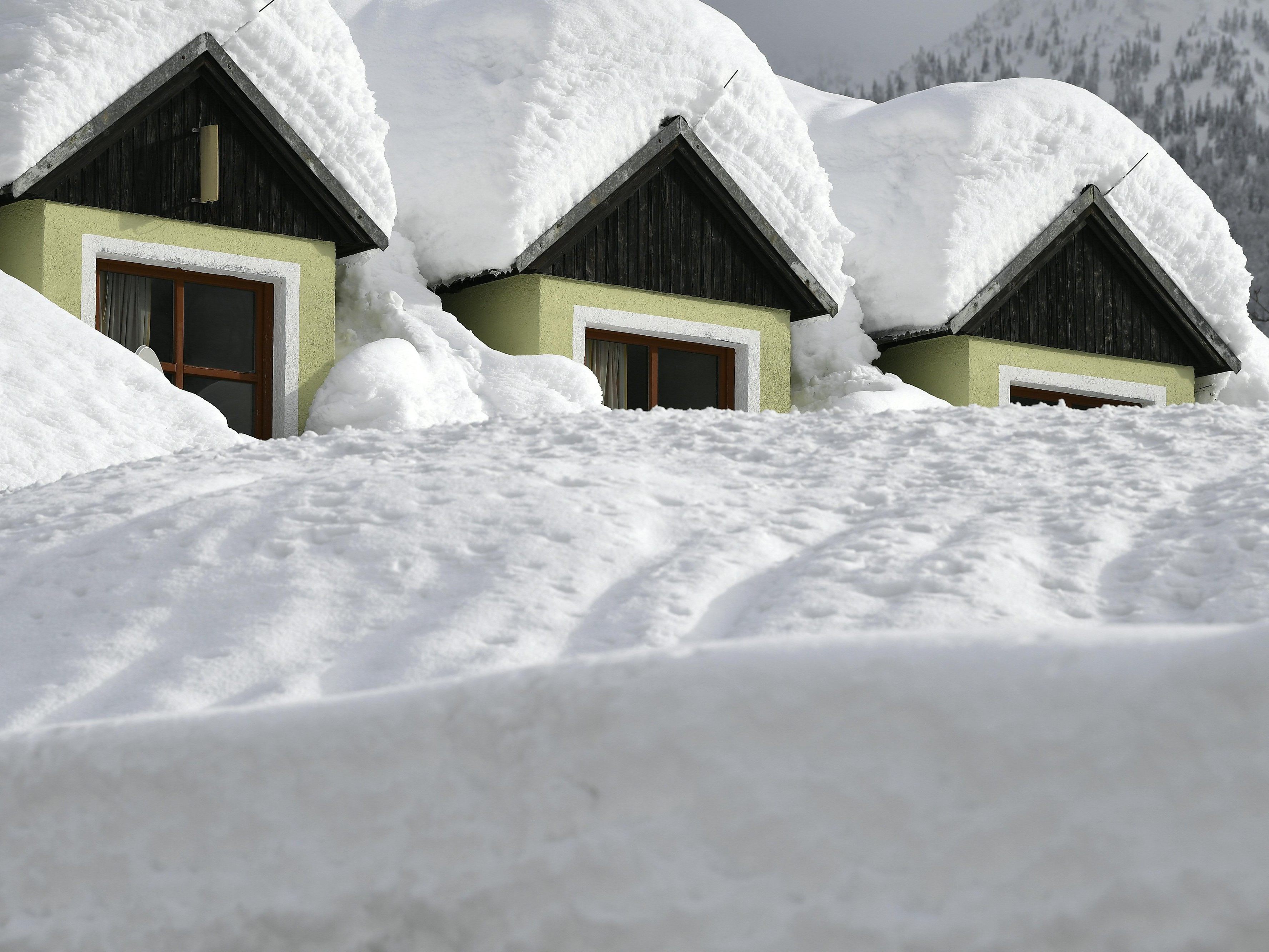 Schneemassen und Temperaturen weit unter dem Gefrierpunkt. In den vergangenen Tagen häufen sich Medienberichte mit Warnungen vor einem "Jahrhundertwinter". Schneemassen und Temperaturen weit unter dem Gefrierpunkt. In den vergangenen Tagen häufen sich Medienberichte mit Warnungen vor einem "Jahrhundertwinter".