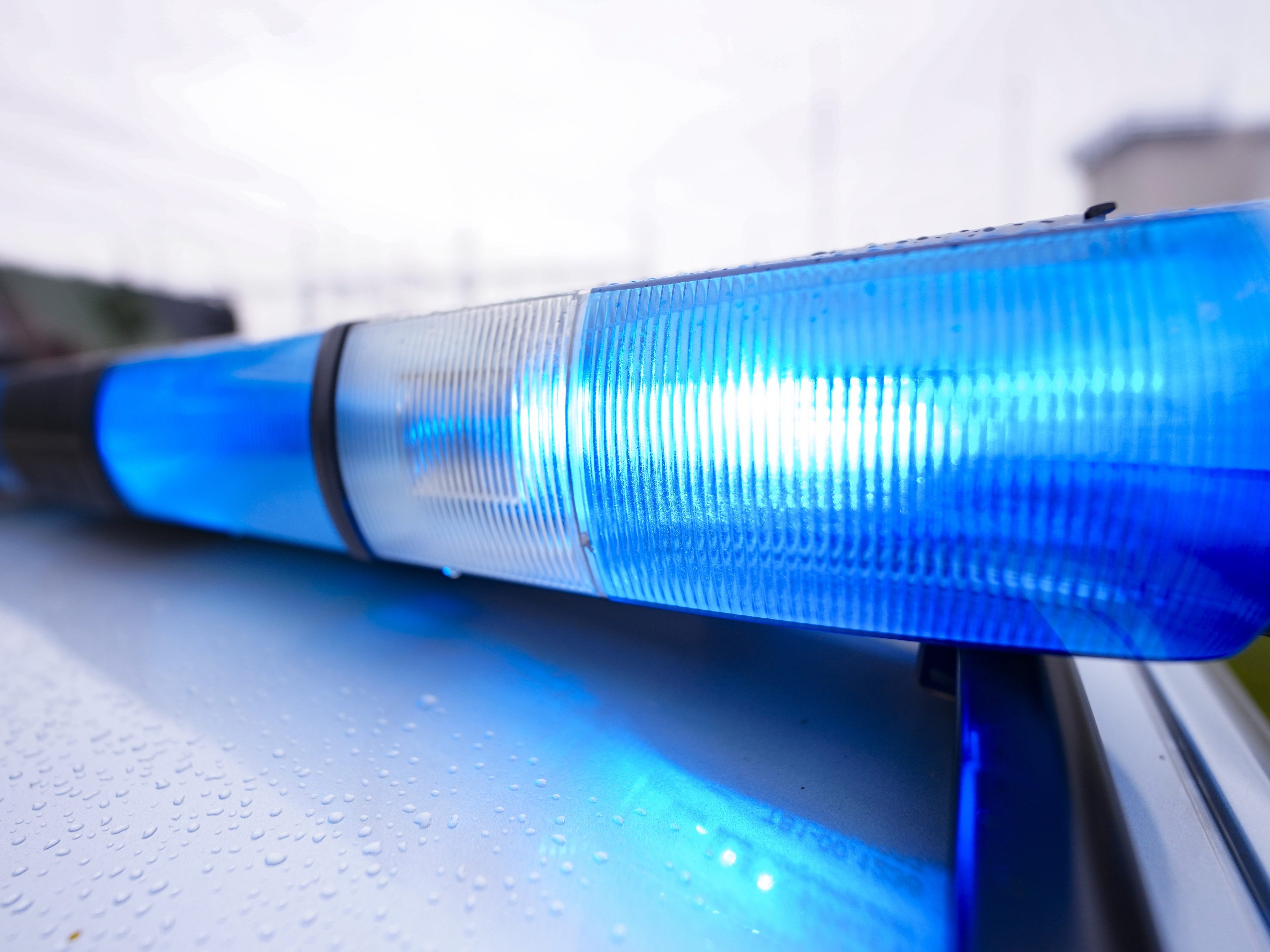 Polizei wurde zu Wochenbeginn alarmiert. Polizei wurde zu Wochenbeginn alarmiert.