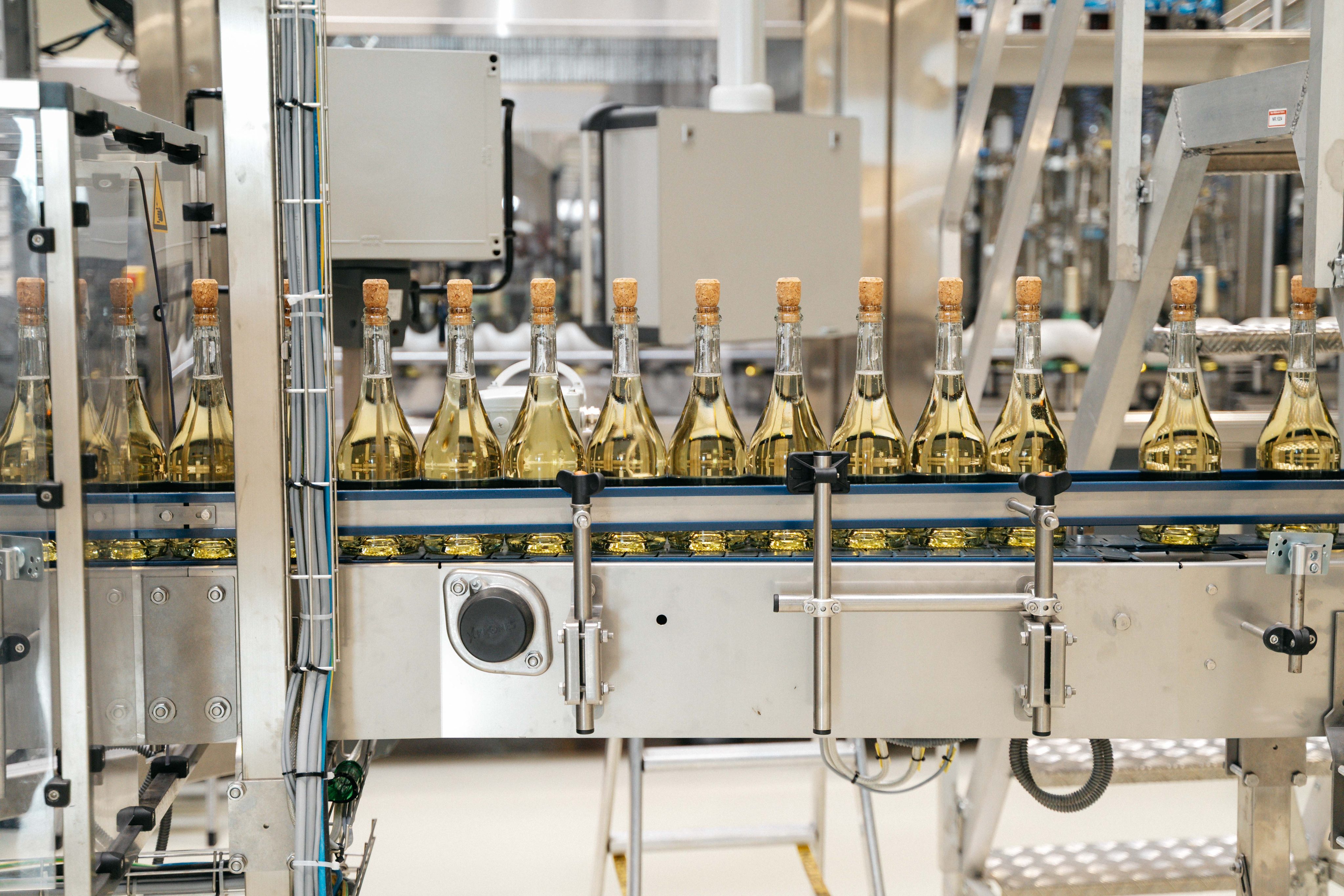 ©APA/RALPH MARTIN DARABOS