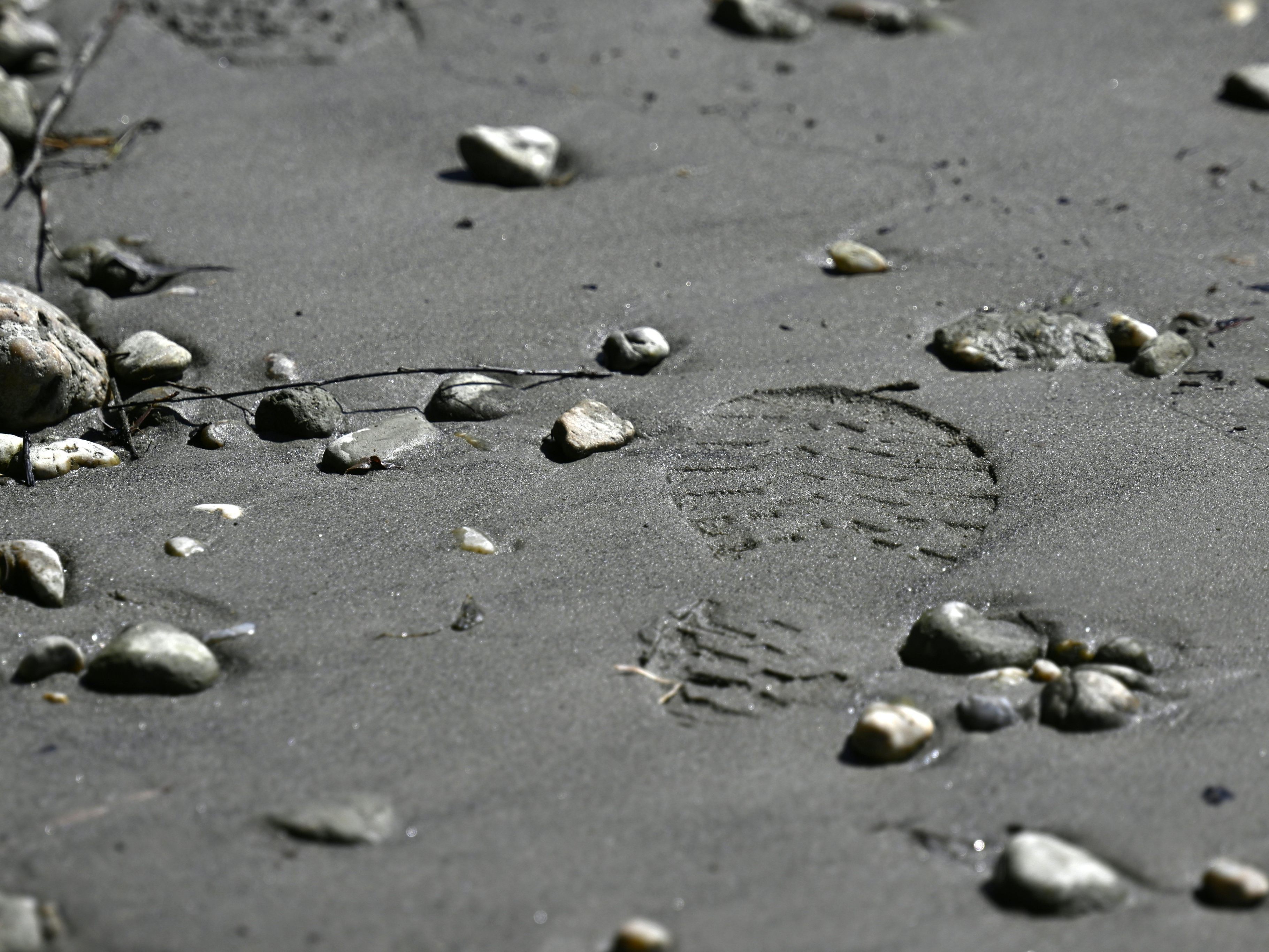 Im Zuge der Ermittlungen rund um den Leichenfund in der Neuen Donau in Wien-Floridsdorf wurde nun ein weiterer Mann festgenommen. Im Zuge der Ermittlungen rund um den Leichenfund in der Neuen Donau in Wien-Floridsdorf wurde nun ein weiterer Mann festgenommen.