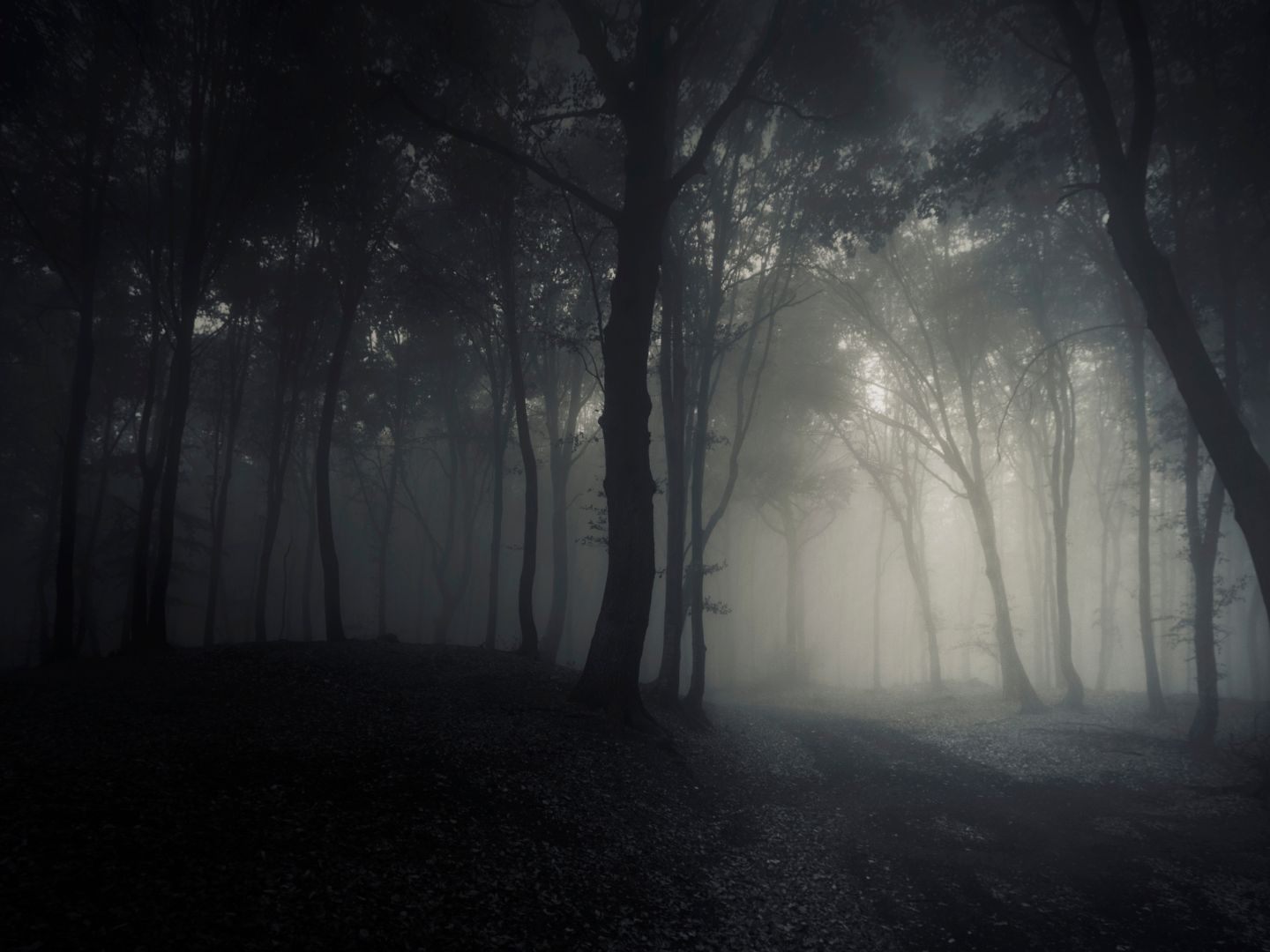 Die abgängige 78-Jährige wurde tot in einem Bachbett gefunden. Die abgängige 78-Jährige wurde tot in einem Bachbett gefunden.