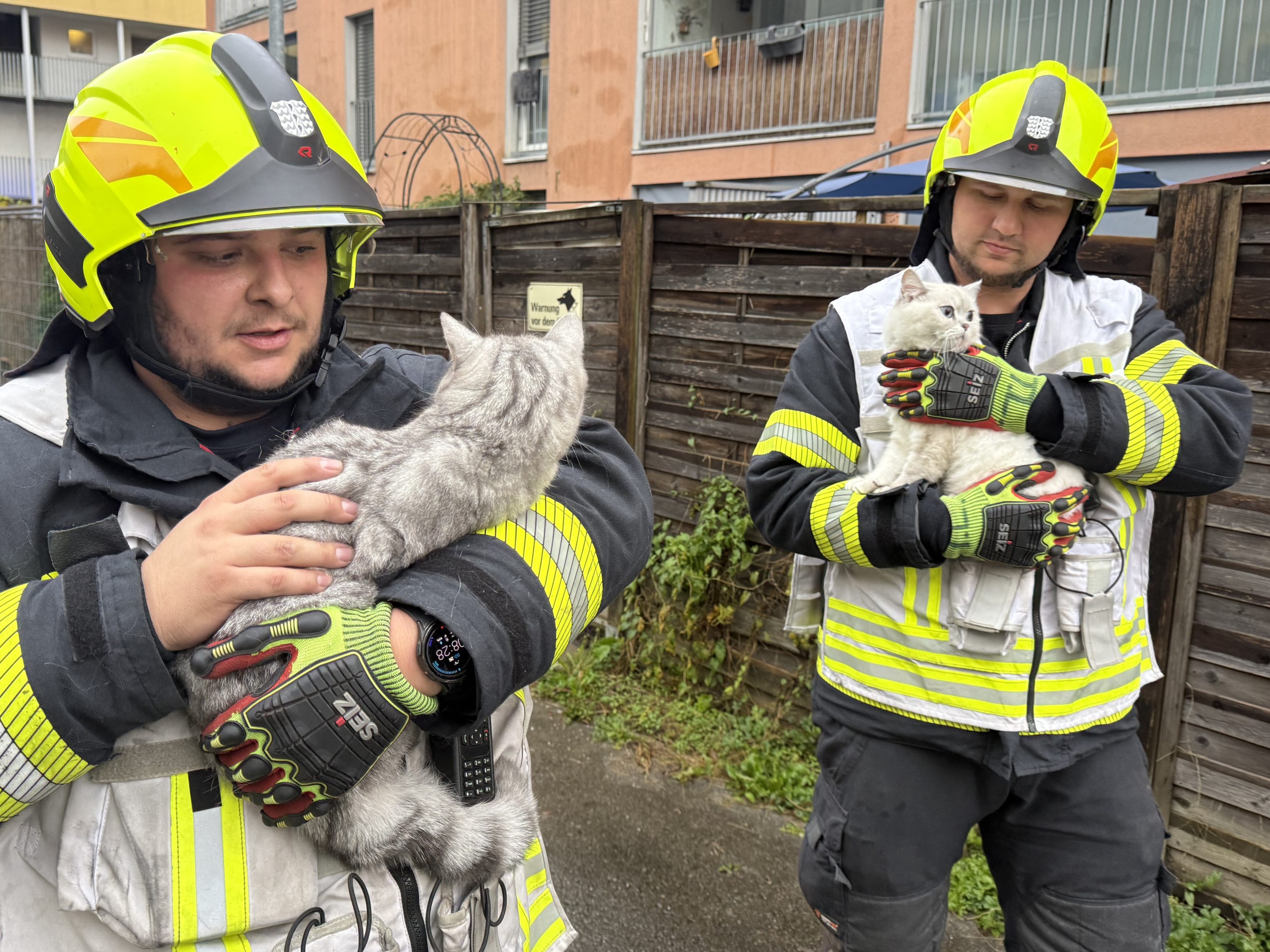 Die Feuerwehr konnte drei Katzen aus der betroffenen Wohnung retten. Die Feuerwehr konnte drei Katzen aus der betroffenen Wohnung retten.