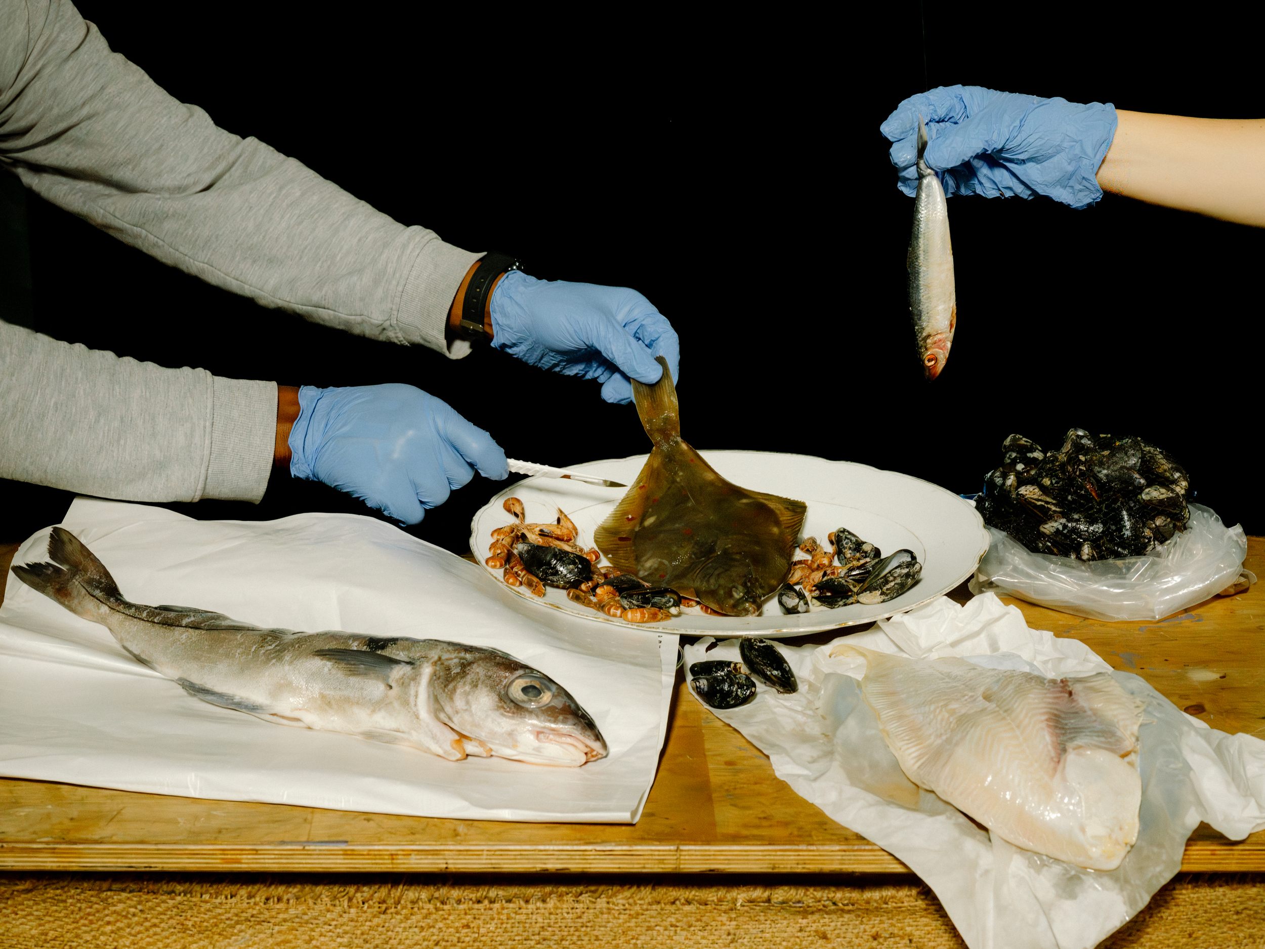 Viele der in den Fischen nachgewiesenen Stoffe seien in der EU längst verboten. Viele der in den Fischen nachgewiesenen Stoffe seien in der EU längst verboten.
